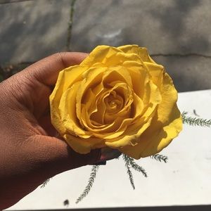 Meet your Posher, Celesta